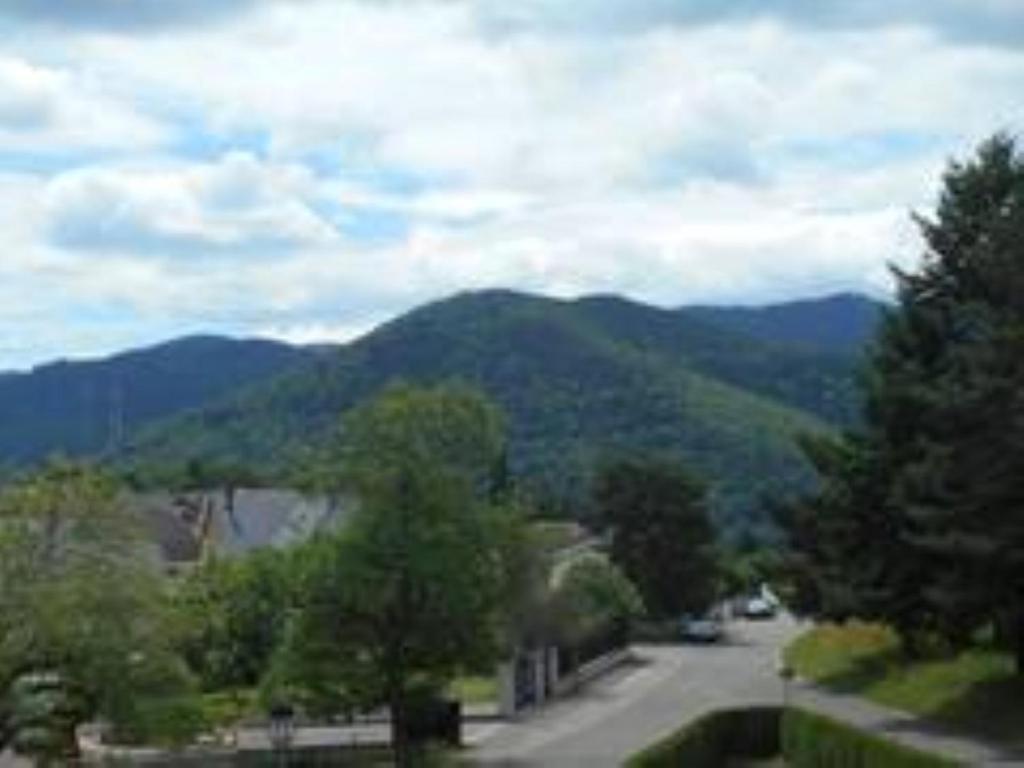 Gîte spacieux, lumineux et très cosy Lautenbach Esterno foto