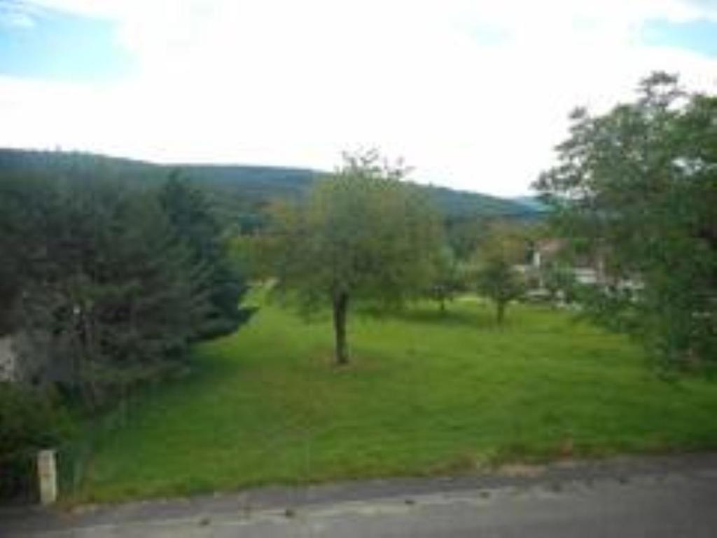 Gîte spacieux, lumineux et très cosy Lautenbach Esterno foto